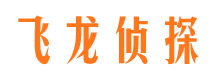 纳溪侦探公司